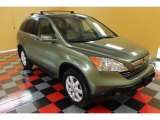 2008 Green Tea Metallic Honda CR-V EX-L 4WD #53981615