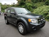 2008 Black Pearl Slate Metallic Ford Escape XLS 4WD #54203798