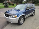 2007 Ford Escape Vista Blue Metallic