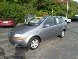 2006 Medium Gray Chevrolet Aveo LS Sedan #54256379