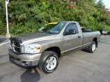 2007 Light Khaki Metallic Dodge Ram 1500 SLT Regular Cab 4x4 #54256378