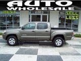 2010 Pyrite Mica Toyota Tacoma V6 PreRunner Double Cab #54256371