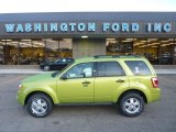 2012 Lime Squeeze Metallic Ford Escape XLT 4WD #54256242