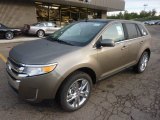 Mineral Grey Metallic Ford Edge in 2012