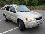 2004 Ford Escape Limited Front 3/4 View