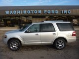 2010 Ingot Silver Metallic Ford Expedition Limited 4x4 #54379135
