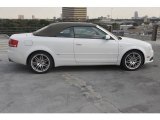 Ibis White Audi A4 in 2009