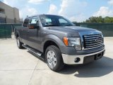 2011 Sterling Grey Metallic Ford F150 Texas Edition SuperCrew #54418557