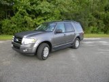 2011 Sterling Grey Metallic Ford Expedition XLT #54418951