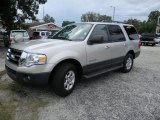 2007 Silver Birch Metallic Ford Expedition XLT #54418945