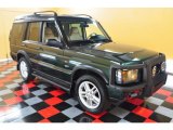 2003 Epsom Green Land Rover Discovery SE #54418846
