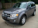 2012 Sterling Gray Metallic Ford Escape XLT 4WD #54419072