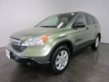2007 Green Tea Metallic Honda CR-V EX 4WD #54418695