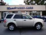 2010 Gold Leaf Metallic Ford Escape XLT V6 #54509283