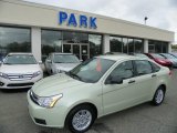 2011 Natural Neutral Metallic Ford Focus SE Sedan #54538719