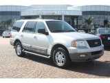 2003 Silver Birch Metallic Ford Expedition XLT #54577693