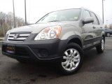 2005 Silver Moss Metallic Honda CR-V Special Edition 4WD #5436252