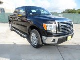 2011 Ebony Black Ford F150 XLT SuperCrew #54577553