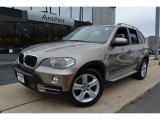 2009 BMW X5 xDrive30i
