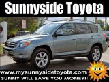 2006 Everglade Metallic Toyota RAV4 Limited #54630190