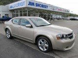 Light Sandstone Metallic Dodge Avenger in 2008