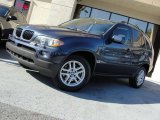 2006 Toledo Blue Metallic BMW X5 3.0i #54738552