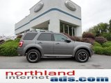 2012 Sterling Gray Metallic Ford Escape XLT Sport AWD #54791705