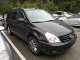 2008 Midnight Black Kia Sedona LX #54815031