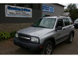 Silverleaf Metallic Chevrolet Tracker in 2004