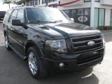 2007 Black Ford Expedition Limited 4x4 #54851683