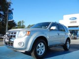 2008 Silver Metallic Ford Escape Limited #54851028