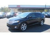 2009 Black Toyota Venza V6 #54851285