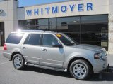 2009 Vapor Silver Metallic Ford Expedition Limited 4x4 #54913298