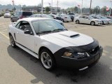 2002 Ford Mustang V6 Convertible Front 3/4 View