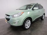 2011 Hyundai Tucson Kiwi Green