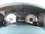 2009 Ford Expedition King Ranch Gauges