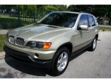 2001 Pearl Beige Metallic BMW X5 4.4i #54913065