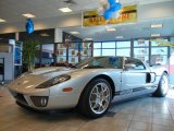 2005 Quick Silver Ford GT  #54963704