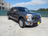 2010 Sterling Grey Metallic Ford F150 XLT SuperCrew #54963836