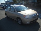 2010 Hyundai Elantra GLS
