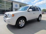 2010 White Suede Ford Escape Limited V6 #55019268