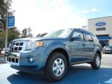 2012 Steel Blue Metallic Ford Escape Limited #55018934