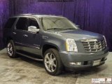 2009 Stealth Gray Cadillac Escalade  #55073502