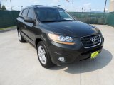 2010 Black Forest Green Metallic Hyundai Santa Fe Limited #55101441