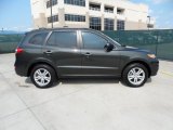 Black Forest Green Metallic Hyundai Santa Fe in 2010