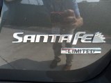 2010 Hyundai Santa Fe Limited Marks and Logos