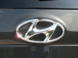 2010 Hyundai Santa Fe Limited Marks and Logos