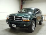 2002 Forest Green Pearl Dodge Durango SLT Plus 4x4 #55101769