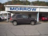 Smoky Brown Kia Sportage in 2006