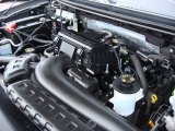 2006 Ford F150 XLT SuperCrew 5.4 Liter SOHC 24-Valve Triton V8 Engine